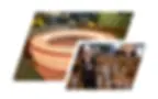 market_products_header_2.webp